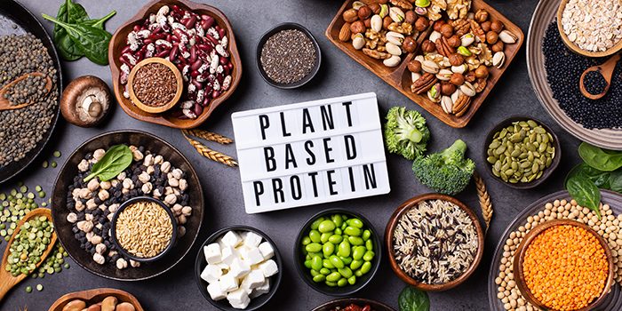 Frederic Yves Michel NOEL Plant-Based Proteins: How to Get Enough Without Meat or Dairy